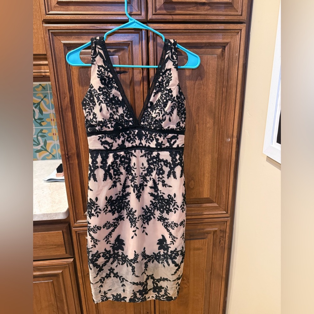 Bardot Black and Cream Dress
